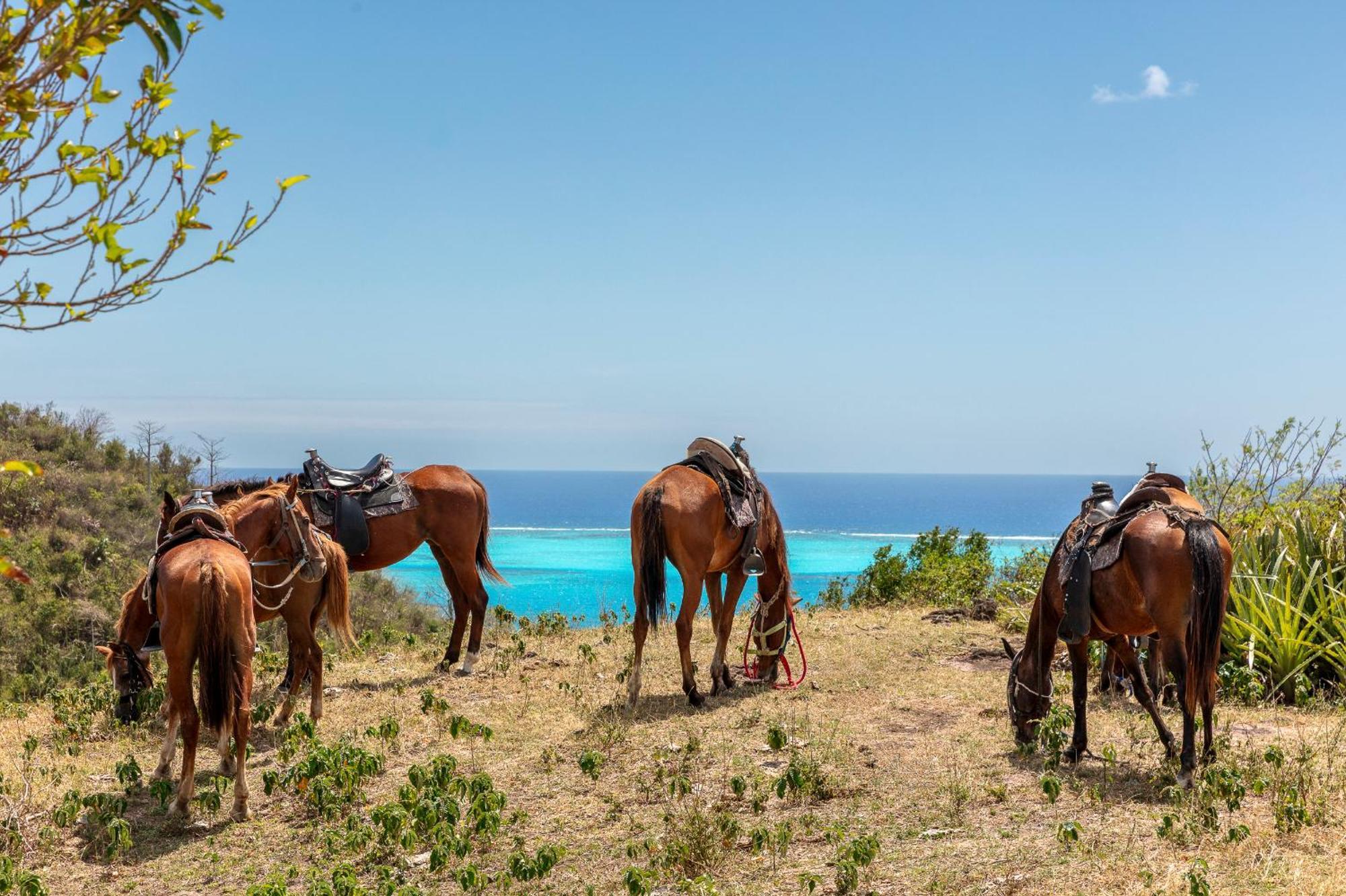 Monasterio Del Viento Hotel Bahia Maracaibo Ngoại thất bức ảnh